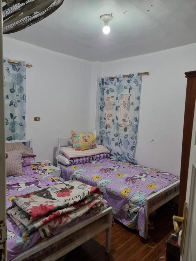 "Sara Accommodation Room "No Egyptians "Dormitory Room Kairo Exteriör bild